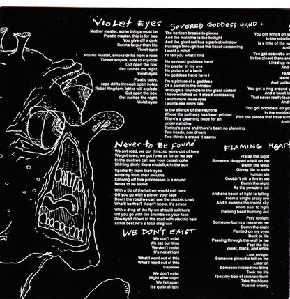 Meat Puppets : Too High To Die (Album)