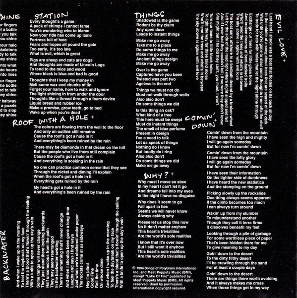 Meat Puppets : Too High To Die (Album)