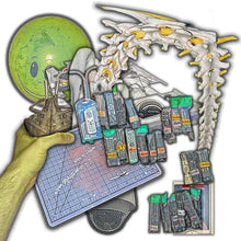 Lip Critic - Theft World (CD) album artwork cover