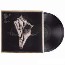 Robert Plant - Lullaby &amp; the Ceaseless Roar (2LP Vinyl) UPC: 075597954333