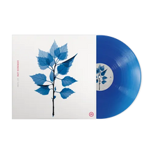 Matt Berninger - Get Sunk (Blue LP Vinyl) UPC: 888072685673