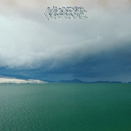 Modest Mouse - Fruit That Ate Itself (LP Vinyl) UPC: 767981144313