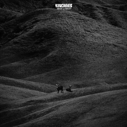 NxWorries - Why Lawd? (LP Vinyl) UPC: 659457250010