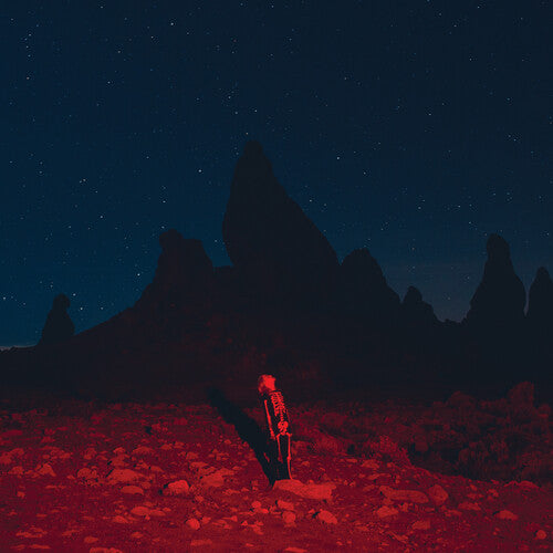 Phoebe Bridgers - Punisher (CD) UPC: 656605150024