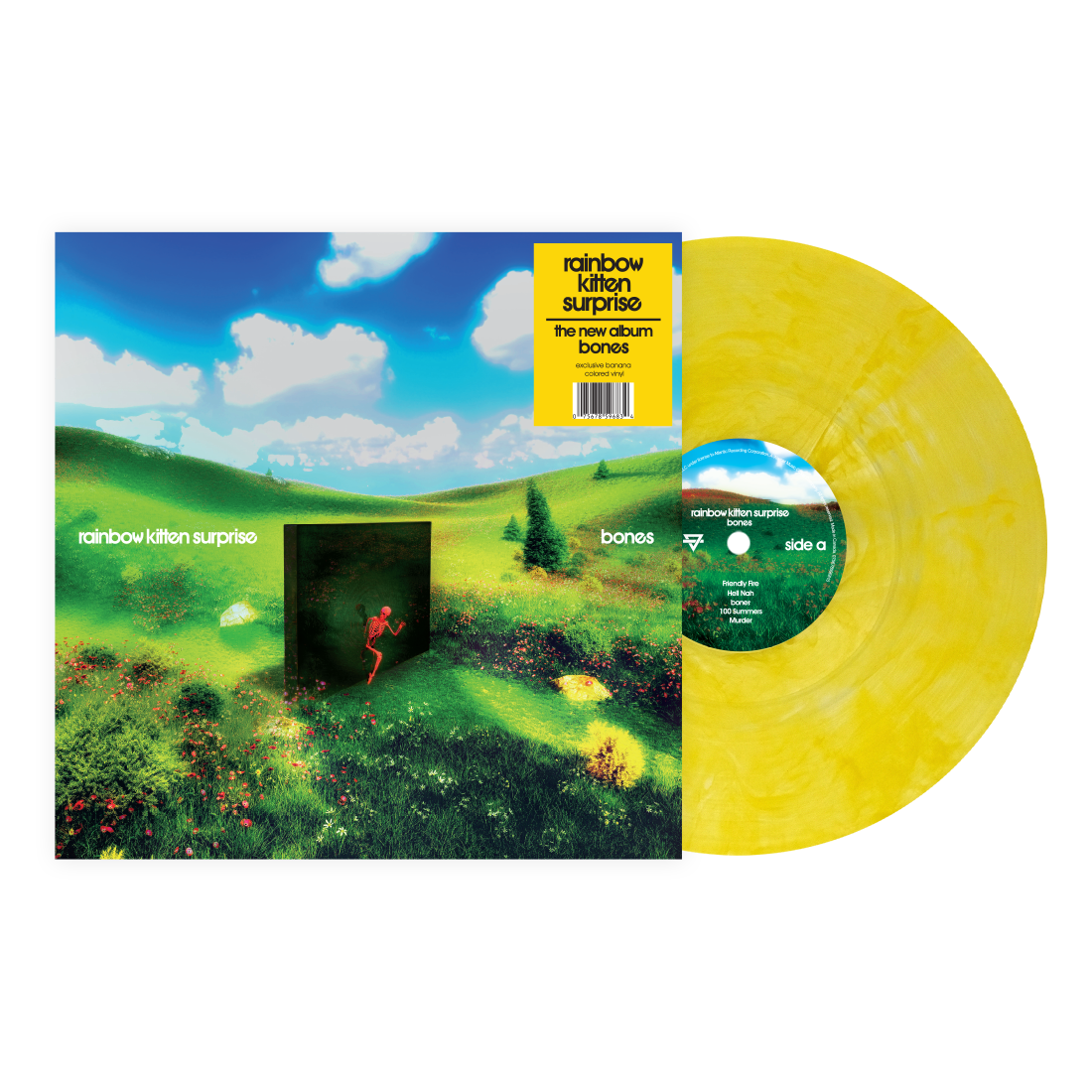 Rainbow Kitten Surprise - Bones (Indie Exclusive, Banana Yellow LP Vinyl) UPC: 075678596834