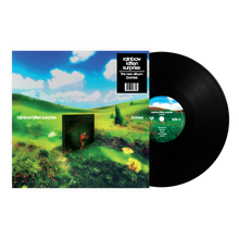 Rainbow Kitten Surprise - Bones (LP Vinyl) UPC: 075678596810