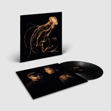 Royal Blood - Back To The Water Below (Standard Edition, Black LP Vinyl) UPC:5054197678714