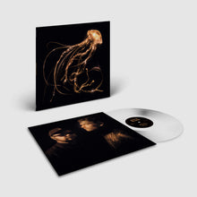 Royal Blood - Back To The Water Below (Indie Exclusive, Clear LP Vinyl) UPC:5054197679803