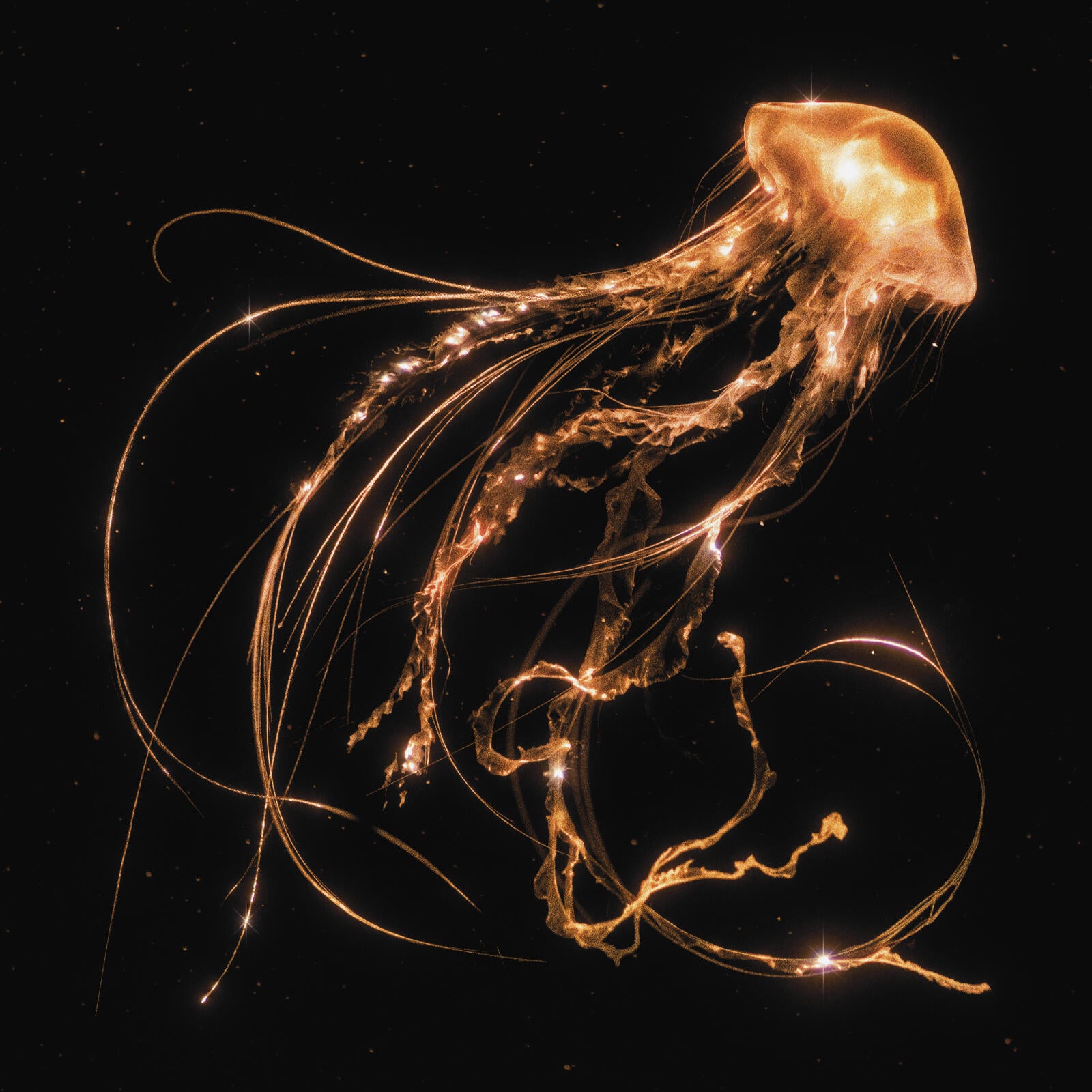 Royal Blood - Back To The Water Below (Standard Edition, Black LP Vinyl) UPC:5054197678714