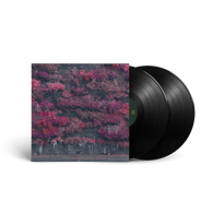 Sleep Token- Even In Arcadia (2LP Vinyl) UPC: 198029031119
