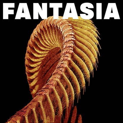Slift - Fantasia album artwork cover