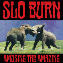 Slo Burn - Amusing The Amazing (RSD Black Friday 2025, EP Vinyl) UPC: 711574967919
