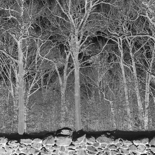 Pile - Sunshine and Balance Beams (CD) UPC: 789091611646