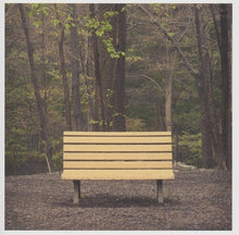 Streetlight Manifesto - The Hands That Thieve (2LP Clear Vinyl) UPC: 840526510344