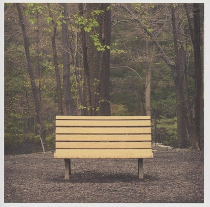 Streetlight Manifesto - The Hands That Thieve (2LP Clear Vinyl) UPC: 840526510344