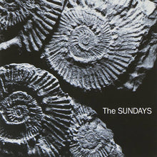 The Sundays - Reading Writing And Arithmetic (LP Vinyl) UPC: 602478707339