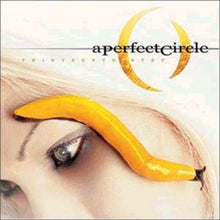 A Perfect Circle - Thirteenth Step (2LP Vinyl) UPC: 724358091816