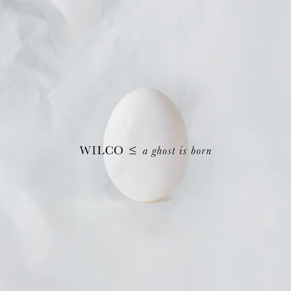 Wilco - A Ghost Is Born (2LP Vinyl) album artwork