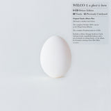 Wilco - A Ghost Is Born (9 CD Box Set) UPC: 075597899016