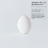 Wilco - A Ghost Is Born (Deluxe Edition) (9 LP, 4 CDs Box Set) UPC:  075597899009