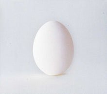 Wilco - A Ghost Is Born (CD) UPC: 075597980929