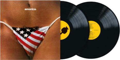 The Black Crowes - Amorica. (2LP Vinyl) UPC: 602478382796
