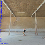 TORRES - What an Enormous Room (Indie Exclusive, Blue Jay and White Vinyl LP) UPC: 673855082707