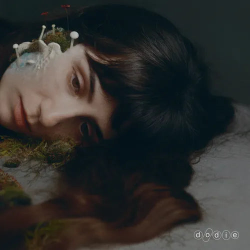 dodie - Not For Lack Of Trying (Indie Exclusive, LP Vinyl, Signed Insert) UPC: 602478858086