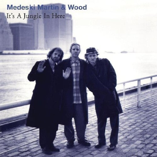 Martin Medeski & Wood - It's A Jungle In Here (Vinyl LP) – Nail