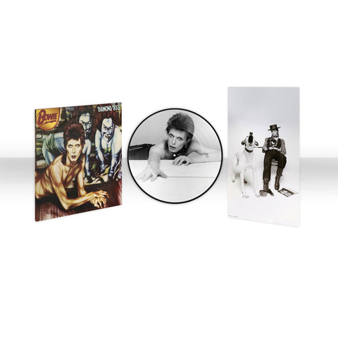 David Bowie - Diamond Dogs (50th Anniversary, Half-Speed Mastered LP Vinyl, Picture Disc) UPC: 5054197816413