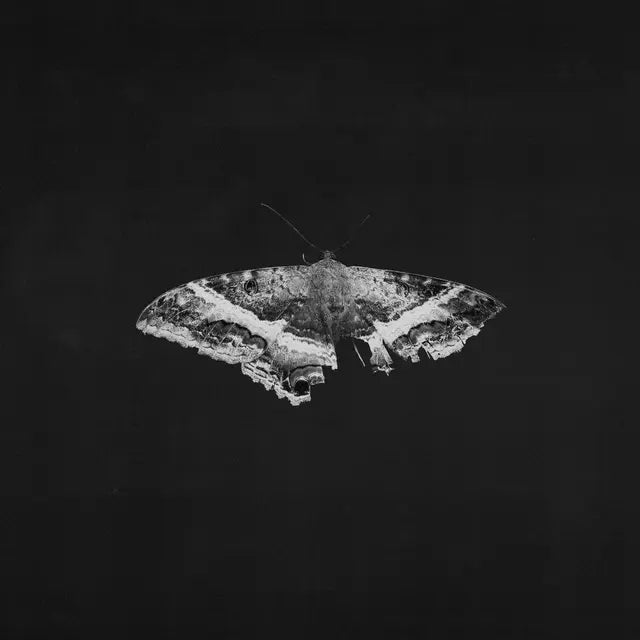 Kendrick Lamar - To Pimp A Butterfly (10 Year Anniversary Edition) (2LP Vinyl)