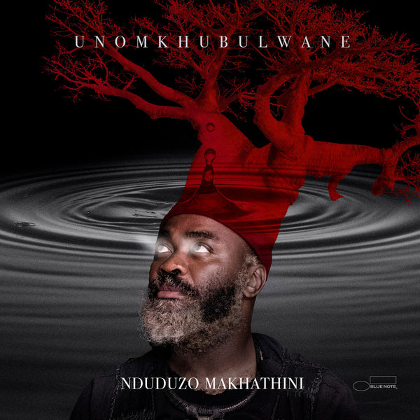 Nduduzo Makhathini - uNomkhubulwane (Blue Note Records, 2LP Vinyl)