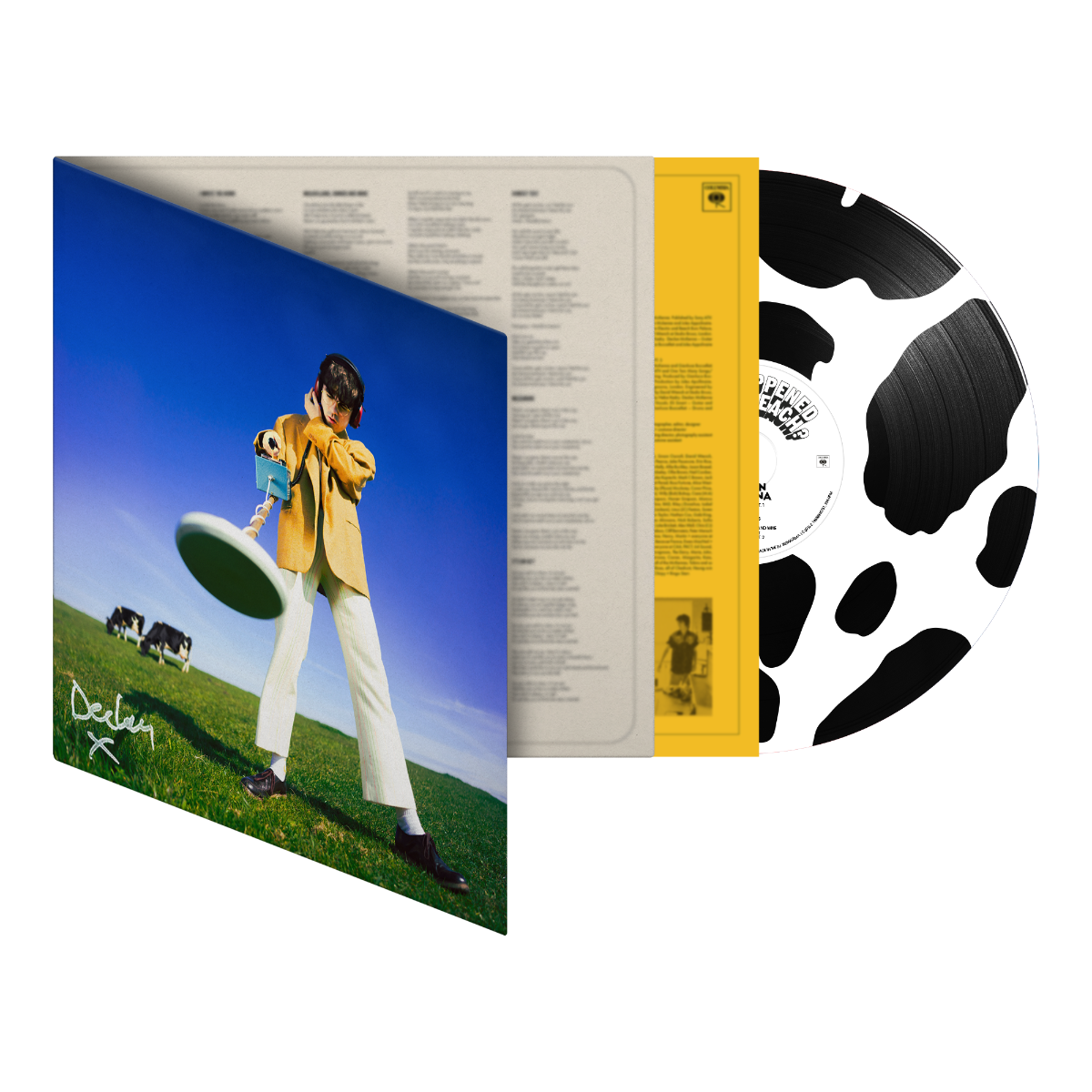 Declan McKenna - What Happened To The Beach? (Deluxe Edition, Indie/D2C Exclusive, Deluxe Moo Eco-Vinyl) UPC: 850053211577