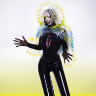 Björk - Vulnicura (LP Vinyl)