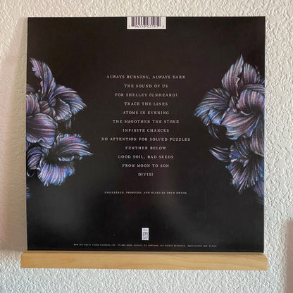 A Lot Like Birds : Divisi (LP, Album, Ltd, Bla)