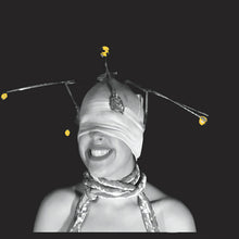 Shimmer (17) : Shimmer (12", Album)