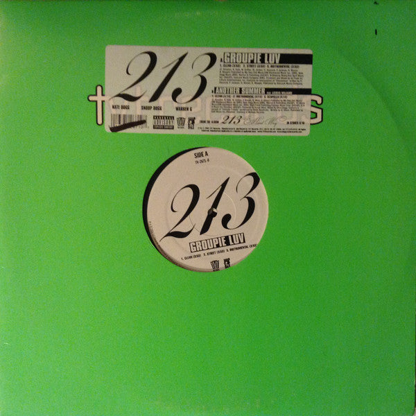 213 : Groupie Luv (12", Single)