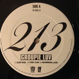 213 : Groupie Luv (12", Single)