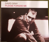 David Gray : Please Forgive Me (CD, Single, Enh)