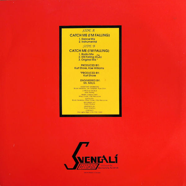 Pretty Poison : Catch Me (I'm Falling) (12")