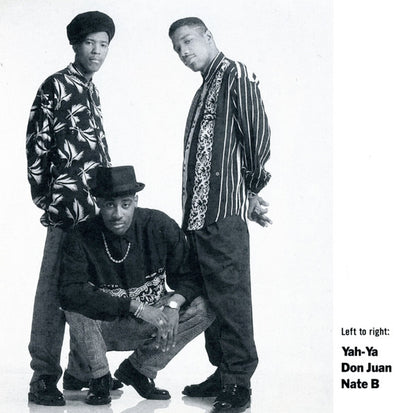 The Black Flames : The Black Flames (CD, Album)