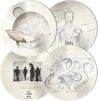 Gojira - From Mars to sirius (Picture Disc)