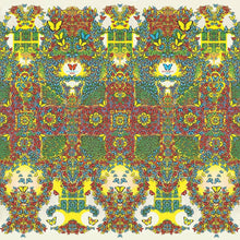 King Gizzard and the Lizard Wizard - Butterfly 3000 (French LP)