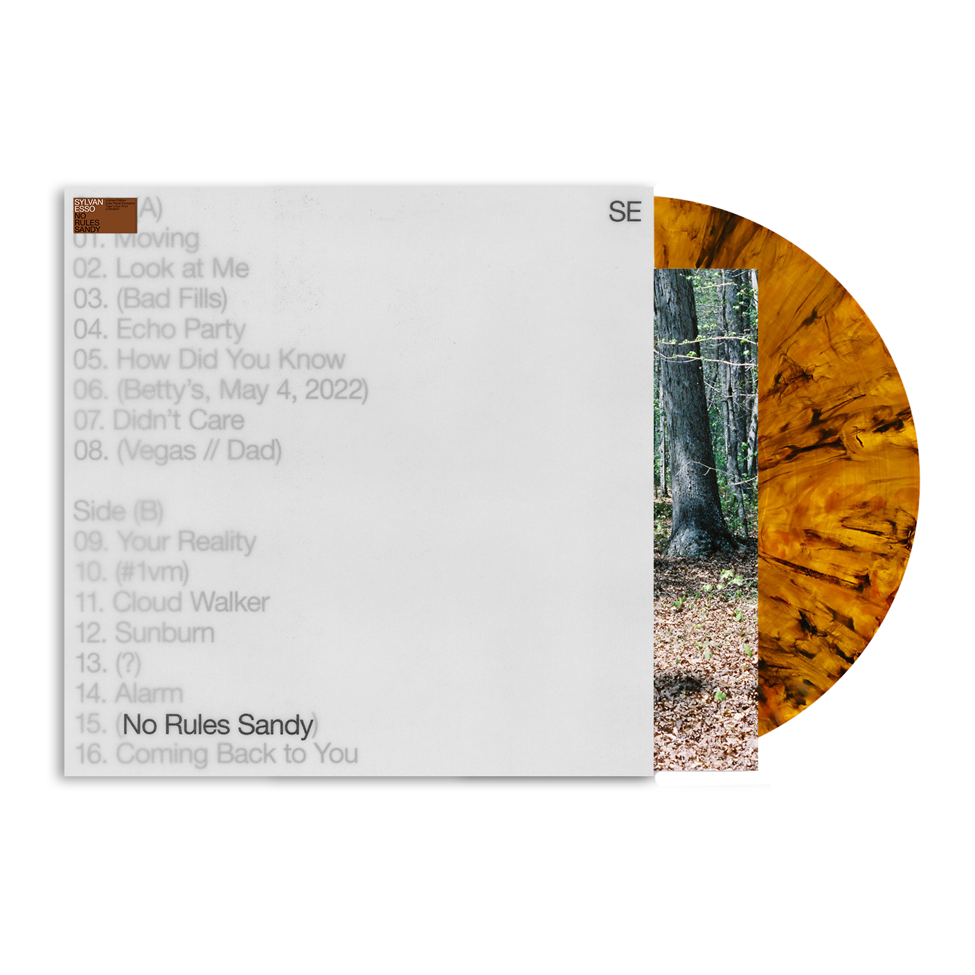 Sylvan Esso - No Rules Sandy (Limited Edition, Indie Exclusive Tiger's Eye Colored Vinyl)