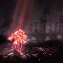 Enter Shikari - A Kiss for the Whole World (Indie Exclusive, Transparent Violet Sparkle LP Vinyl)