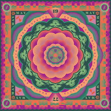 Grateful Dead - Boston Garden, Boston, MA 5/7/77 (Live) (RSD 2023, 5LP Vinyl Box)