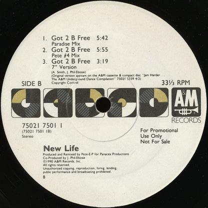New Life : Got 2 B Free (12", Promo)