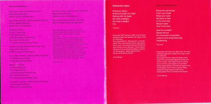 Paul McCartney : Driving Rain (CD, Album)