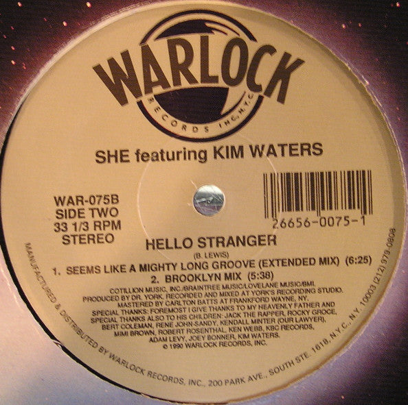 She (7) Featuring Kim Waters : Hello Stranger (12")