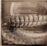 Pantera : The Great Southern Trendkill (CD, Album)